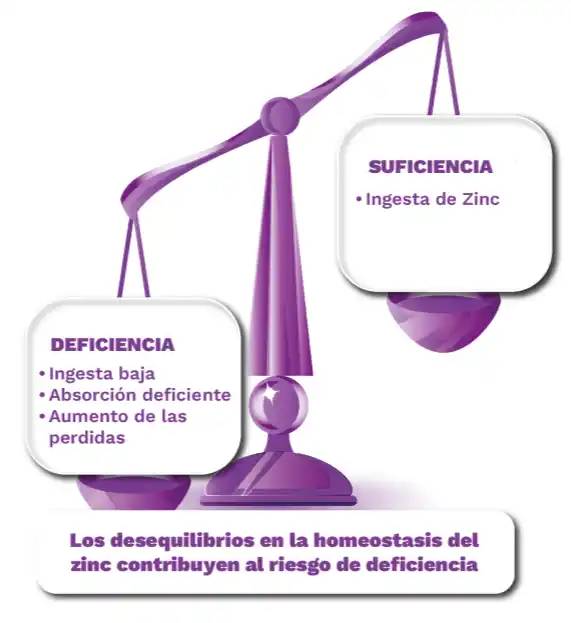 Deficiencia y Suficiencia de Zinc